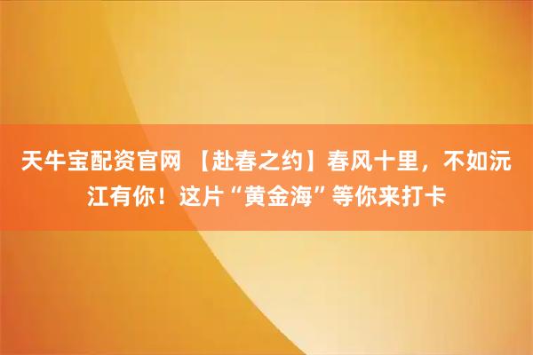 天牛宝配资官网 【赴春之约】春风十里，不如沅江有你！这片“黄金海”等你来打卡