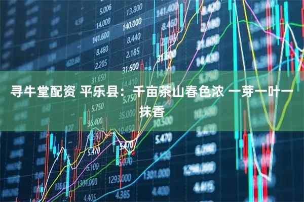 寻牛堂配资 平乐县：千亩茶山春色浓 一芽一叶一抹香