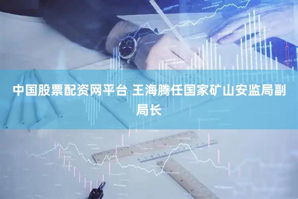 中国股票配资网平台 王海腾任国家矿山安监局副局长