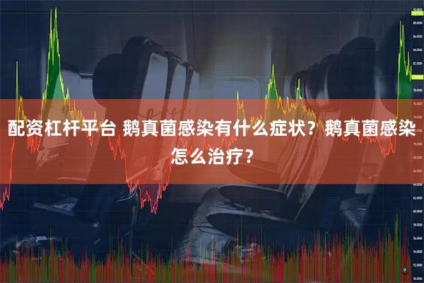 配资杠杆平台 鹅真菌感染有什么症状？鹅真菌感染怎么治疗？