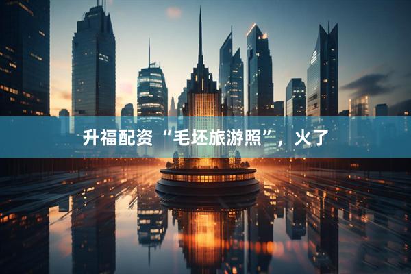 升福配资 “毛坯旅游照”，火了