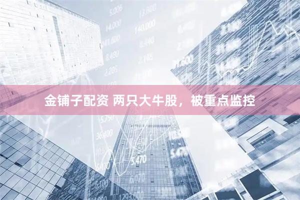 金铺子配资 两只大牛股，被重点监控
